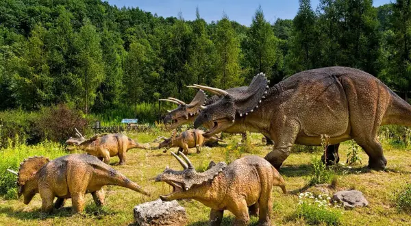 Stado triceratopsów na tle lasu – to atrakcja największego muzeum dinozaurów w Polsce.