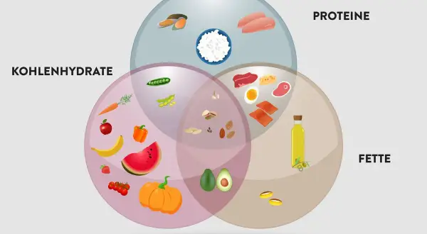 Venn-Diagramm zeigt, was sind Makros: Kohlenhydrate (Obst, Gemüse), Proteine (Fleisch, Fisch, Eier) und Fette (Öl, Nüsse, Avocado).