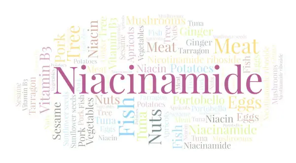 Niacynamid jak stosować? W chmurze słów znajdziesz informacje o niacynamidzie, witaminie B3, rybach, mięsie, warzywach i innych produktach.
