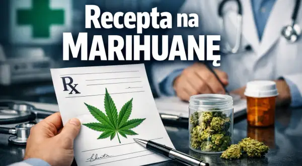 Recepta z liściem marihuany, lekarz pisze, słoik z suszem.