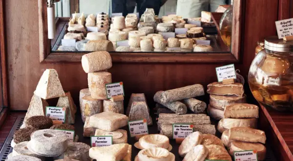 En ostdisk fylld med olika ostar, från pyramidformade till runda, med etiketter som "Charolais" och "Valençay". En stor burk med vätska står bredvid. En ost med namnet "parmesan gravid" skulle passa perfekt här.
