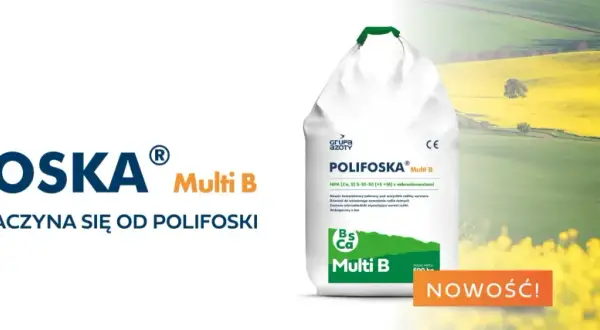 Worek nawozu Polifoska Multi B na tle kwitnącego pola rzepaku. Wysoki plon zaczyna się od Polifoski.