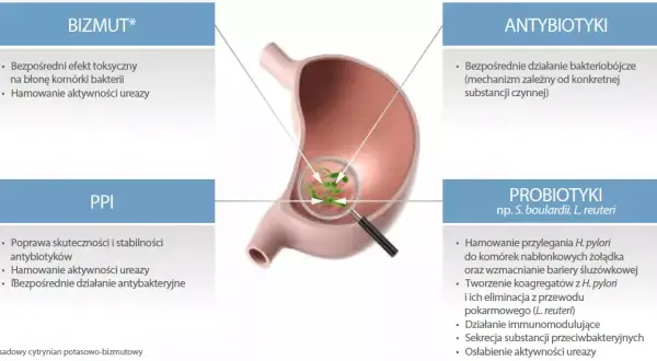 Skuteczne leki na helicobacter pylori - uniknij powikłań zdrowotnych