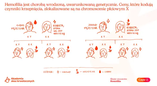 Wyjaśnienie, hemofilia co to jest: genetyczna choroba związana z chromosomem X, przedstawiona na schemacie dziedziczenia.