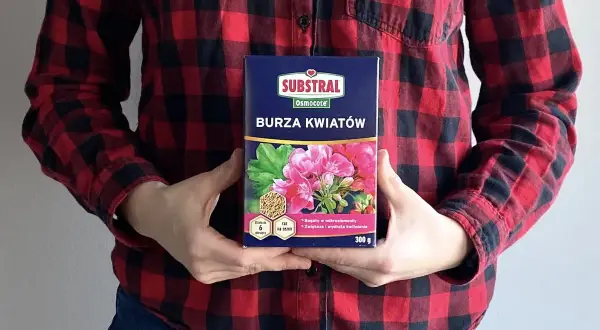 Osoba w koszuli w kratę trzyma opakowanie nawozu "Burza Kwiatów", który obiecuje obfite kwitnienie.