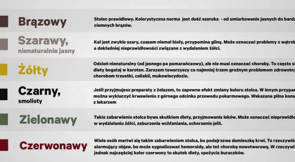 Zielony stolec u dorosłego może być skutkiem diety, leków lub problemów z wydzielaniem żółci.