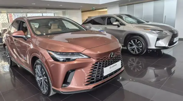 Dwa luksusowe SUV-y Lexus w salonie. Jeden w kolorze miedzianym, drugi srebrny, błyszczą na wypolerowanej podłodze.