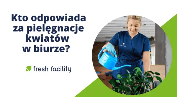 Mycie okien: Czy to obowiązek sprzątającej? Prawo, BHP, umowa
