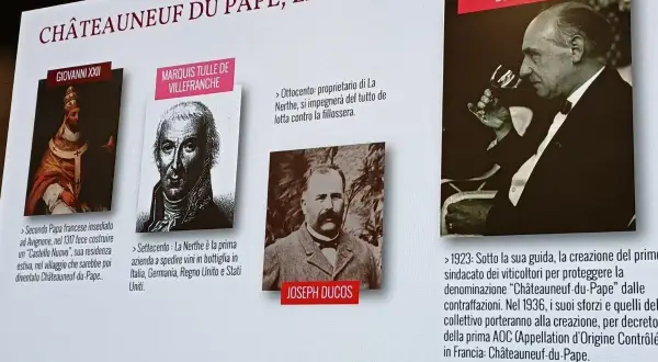 La storia di Châteauneuf-du-Pape: da residenza papale a denominazione protetta.