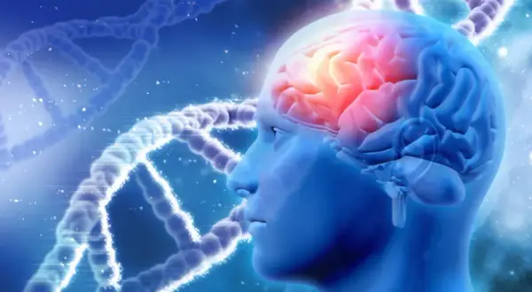 Co to jest totalna biologia i jak wpływa na zdrowie i emocje