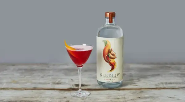 Bebidas sin alcohol: ¿Por qué eligen España? Salud y recetas top
