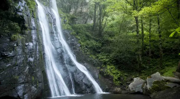La seimeira de Vilagocende, una cascada imponente que cae por rocas cubiertas de musgo, rodeada de un bosque frondoso y verde.