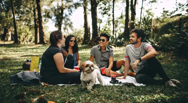Un grupo de amigos disfruta de un picnic bajo los árboles, compartiendo risas y un perro juguetón. Un ejemplo de relaciones de amistad sanas.