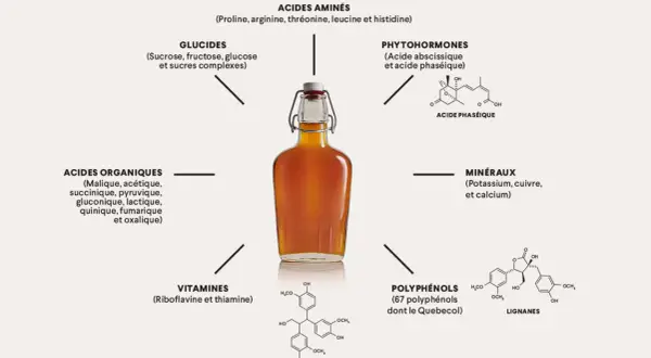 Composition sirop d'érable : acides aminés, glucides, phytohormones, acides organiques, vitamines, minéraux, polyphénols et lignanes.