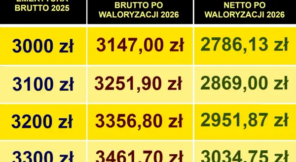 Weterynarz koni: Zarobki od 4666 do 10000 zł brutto?