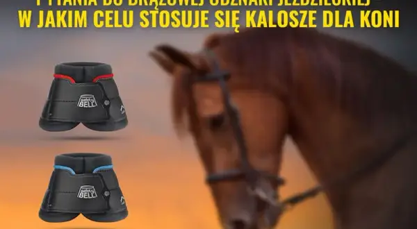 Po co są kaloszki dla konia? Odkryj ich kluczowe korzyści