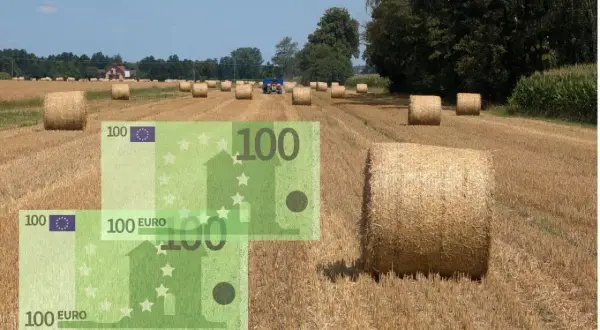 Pole z belami słomy i rachunki 100 euro. Zastanawiasz się, ile wynosi dopłata do 1 ha zboża?