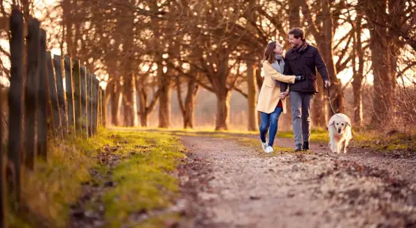 Coppia felice passeggia con cane al tramonto. Forse è così che si conquista un controdipendente: con amore e serenità.