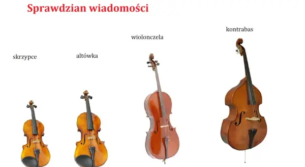 Skrzypce, altówka, wiolonczela i kontrabas ustawione obok siebie, pokazujące różnice w rozmiarze.