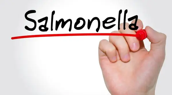 Ręka pisze markerem słowo "Salmonella", podkreślając problem salmonelli u dzieci.