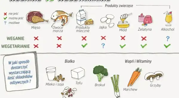 Dieta wegetariańska czego nie można jeść – unikaj tych produktów