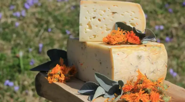 Due blocchi di formaggi di montagna, uno sopra l'altro, decorati con fiori arancioni e foglie verdi su un tagliere di legno.