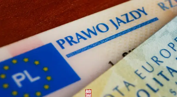 Zgubiony dowód rejestracyjny przed przerejestrowaniem. Widoczne fragmenty prawa jazdy i dokumentu z UE.