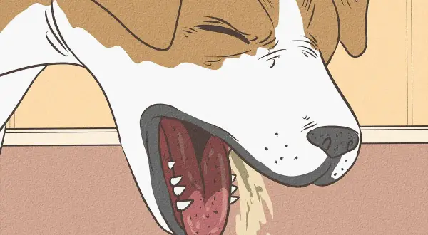 Illustration showing a dog's head with its mouth open, tongue hanging out, and drooling. This image is part of a dog dehydration chart.