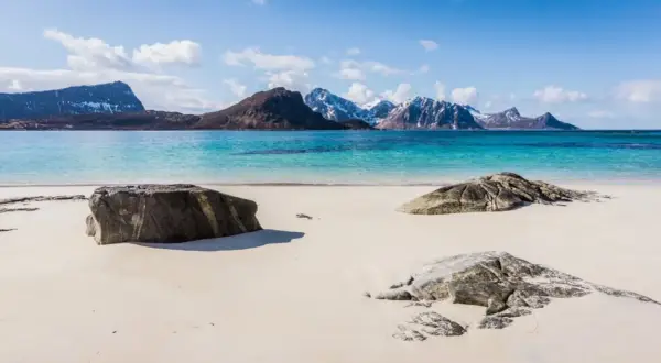 En vit sandstrand vid en turkosblå havsvik, med snöklädda berg i bakgrunden. En idyllisk lofoten beach.
