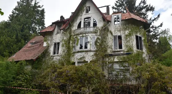 Maison abandonnée envahie par la végétation, parfaite pour faire de l'urbex. Toit endommagé, fenêtres brisées, un lieu chargé d'histoire.