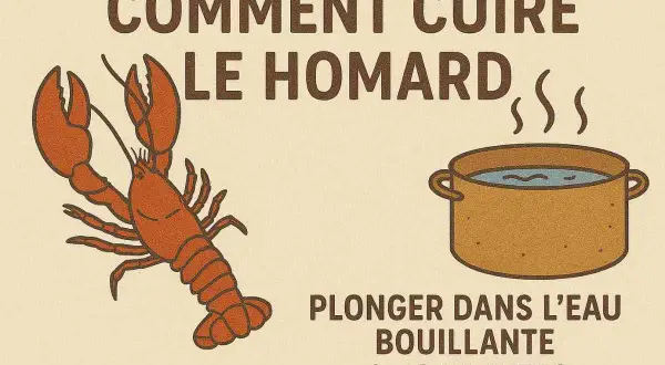 Illustration d'un homard à côté d'une casserole d'eau bouillante, avec le texte "Comment cuire le homard". La cuisson du homard est simple : plonger 9-12 minutes.