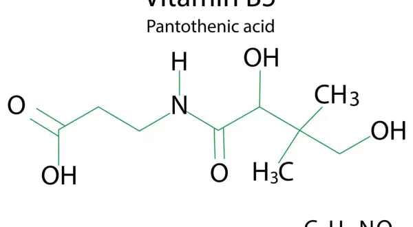 Chemische Strukturformel von Vitamin B5 (Pantothensäure) mit der Summenformel C9H17NO5.