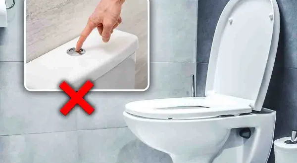 Un dito preme il pulsante di scarico di un water, ma una grande X rossa indica che questo bagno è senza scarico.