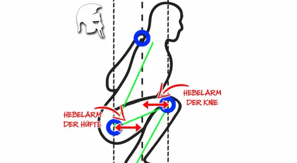 Schema einer Kniebeuge mit Hebelarmen an Hüfte und Knie. Der Vastus Intermedius ist hierbei zentral für die Streckung des Kniegelenks.