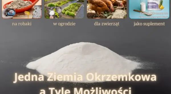 Ziemia okrzemkowa dla kur i nie tylko! Stosuj ją na robaki, w ogrodzie, dla zwierząt lub jako suplement diety. Jedna ziemia, wiele możliwości.