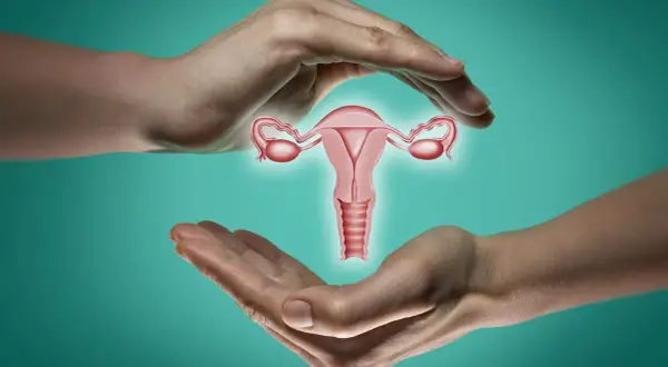 Dłonie otaczają macicę z jajowodami. Ilustracja symbolizuje troskę o zdrowie reprodukcyjne i zamkniętą szyjkę macicy - jak wyczuć jej stan.