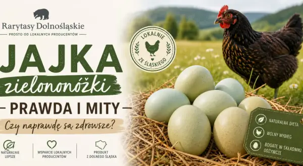 Jajka zielononóżki - prawda i mity. Czy są zdrowsze? Naturalna dieta, wolny wybieg, bogate w składniki odżywcze.