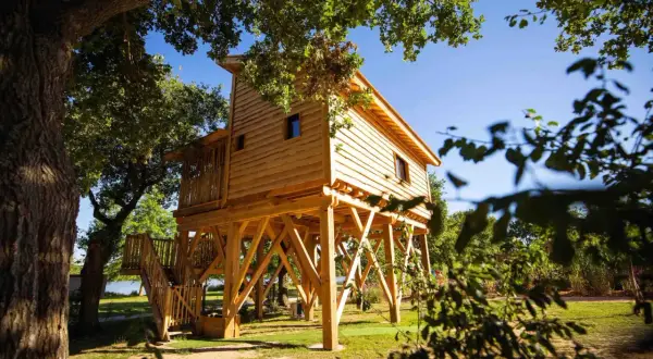 Une **cabane dans les arbres** en bois, perchée sur pilotis, invite à l'aventure dans un cadre verdoyant du **Pays de la Loire**.
