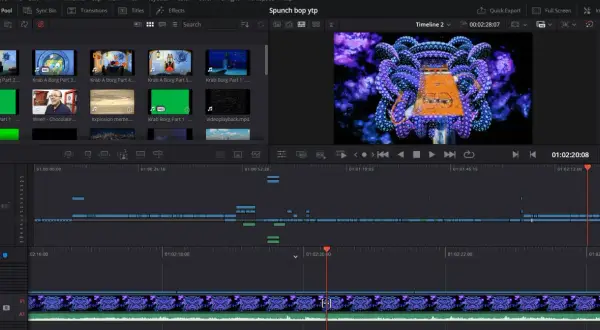DaVinci Resolve layout showing a timeline with video clips, a preview window with a psychedelic octopus, and media pool items.