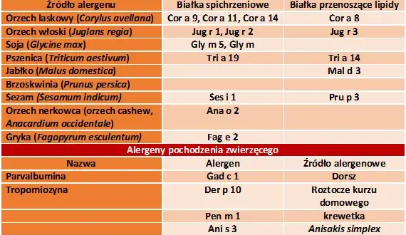 Alergia klasa 2: Co oznacza wynik? Interpretacja i dalsze kroki