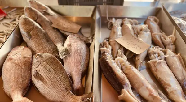 Gdzie zjeść w Marsaxlokk? Najlepsze restauracje z owocami morza