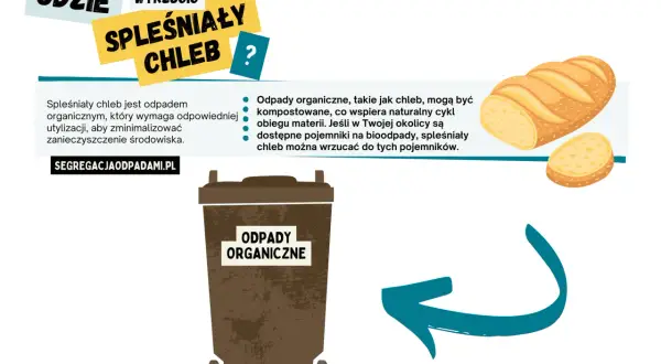 Spóźniony chleb to odpady organiczne, które można kompostować. Jeśli w Twojej okolicy są pojemniki na bioodpady, wrzuć tam spleśniały chleb.