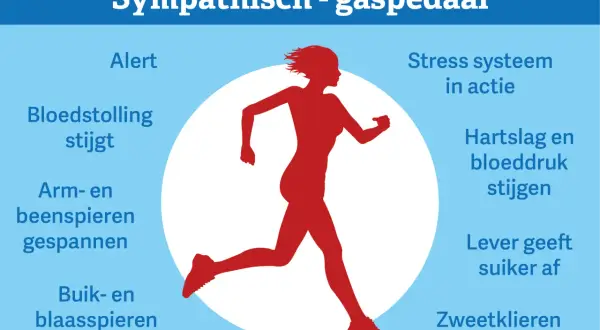 Rode silhouet van een rennende persoon, met tekst die de effecten van een **sympathisch zenuwstelsel overprikkeld** beschrijft, zoals verhoogde hartslag en alertheid.