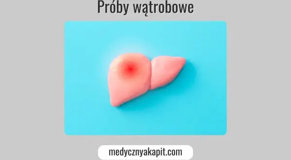 Model wątroby z czerwonym bólem. Tekst: "Próby wątrobowe". Podwyższone próby wątrobowe objawy mogą być niepokojące.
