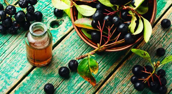Aronia w misce i buteleczce z nalewką. Pomysły, co zrobić z aronii, by cieszyć się jej zdrowiem.