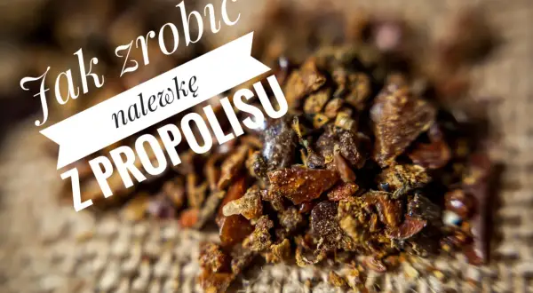 Jak zrobić nalewkę z propolisu na spirytusie? Zbliżenie na drobne, brązowe kawałki propolisu na płóciennym tle.