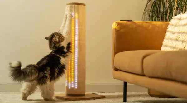 Katze kratzt an Sisal-Kratzbaum mit LED-Beleuchtung. Ein gelber Sofastoff ist im Hintergrund zu sehen.