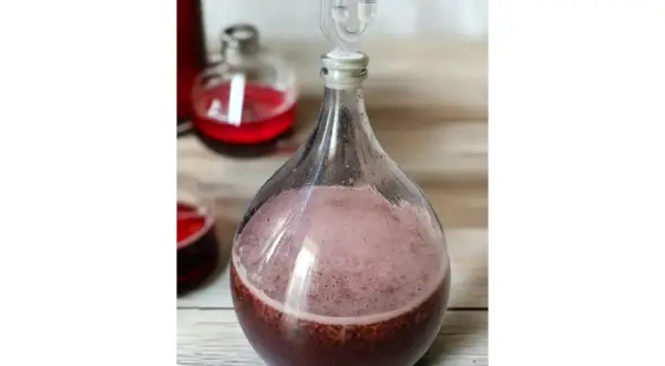 Aktywna fermentacja wina w balonie, widoczna jako gęsta piana na powierzchni. W tle inne butelki z czerwonym płynem.