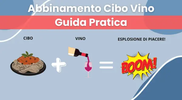 Guida pratica all'abbinamento cibo vino: un piatto di spaghetti più un bicchiere di vino creano un'esplosione di piacere!