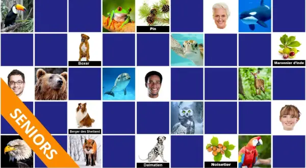 Jeu de mémoire dur : toucan, grenouille, pin, boxer, tortue, marronnier d'Inde, homme, ours brun, dauphin, homme, cerf, chouette, aigle, berger des Shetland, renard, dalmatien, noisetier, ara.